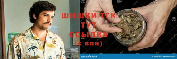 таблы Бородино