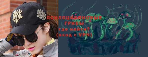 индика Богородицк