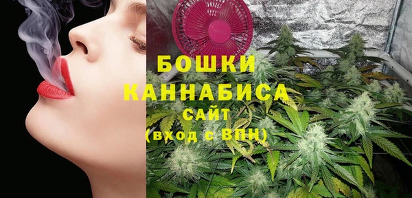 молекула духа Бугульма