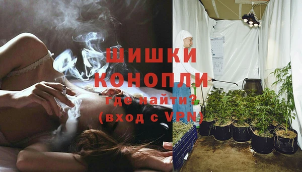 ПСИЛОЦИБИНОВЫЕ ГРИБЫ Богданович