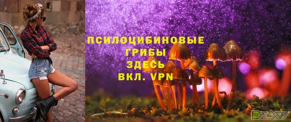 герыч Бронницы
