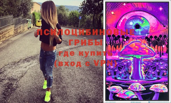 таблы Бородино