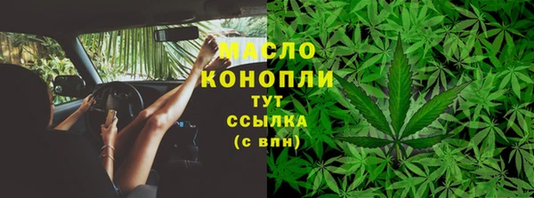 таблы Бородино
