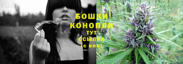 молекула духа Бугульма