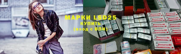 таблы Бородино