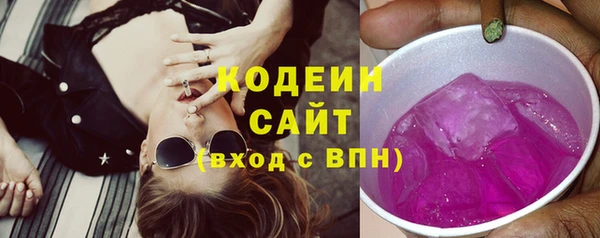 таблы Бородино